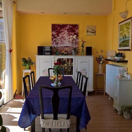 B&B San Lorentino House 阿雷佐 外观 照片